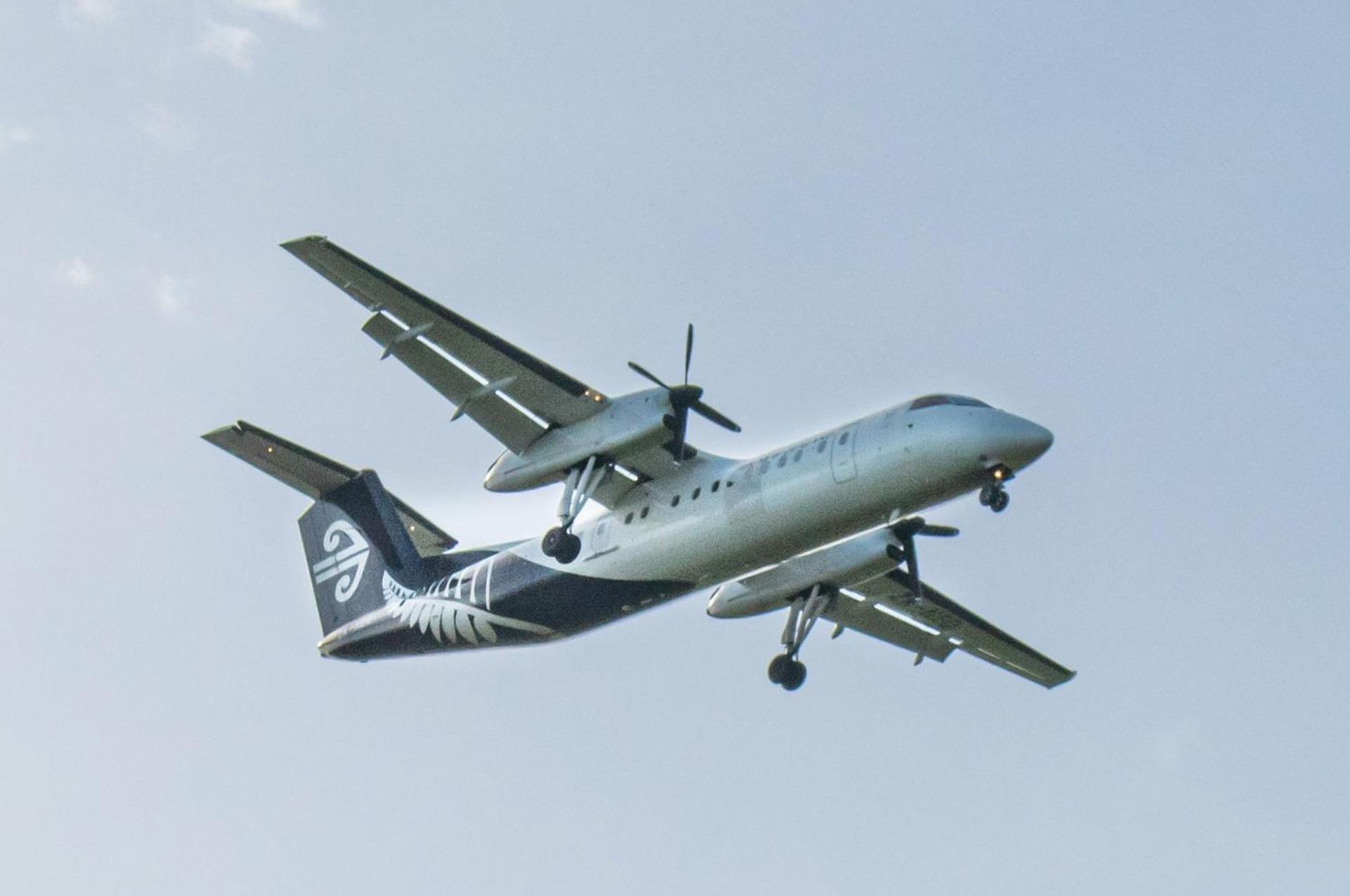 WaitaraThe Flight Pad Window Seat Pet Friendlyアパートメント エクステリア 写真